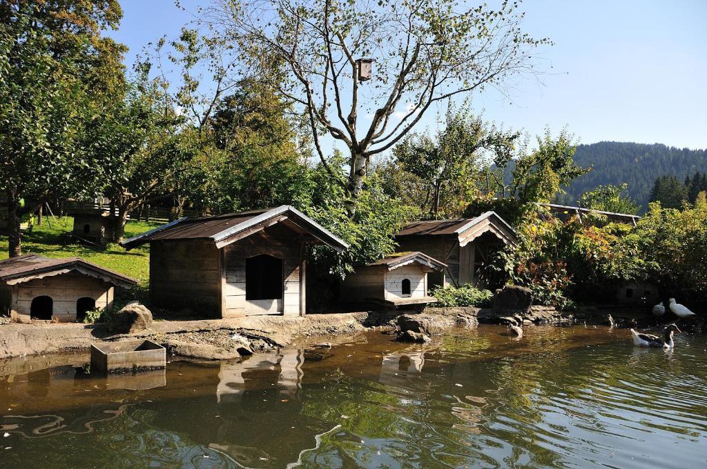 Bodenhof Ferienwohnungen Fieberbrunn Exterior foto